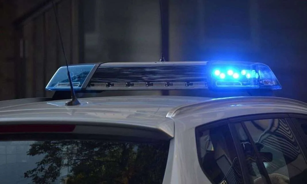 Κρήτη: Εντοπίστηκε φυτεία 830 δενδρυλλίων ναρκωτικού