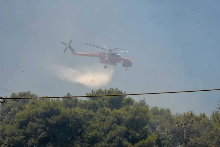 Φωτιά ξέσπασε στη Μεσσηνία – Επιχειρούν και εναέρια μέσα