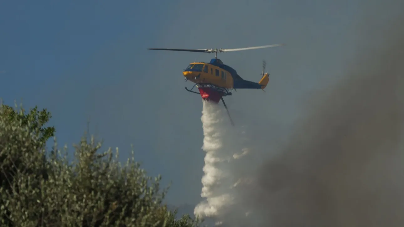 Μεγάλη φωτιά ανάμεσα στα χωριά Πετριές και Κριέζα στην Εύβοια – Ήχησε το 112