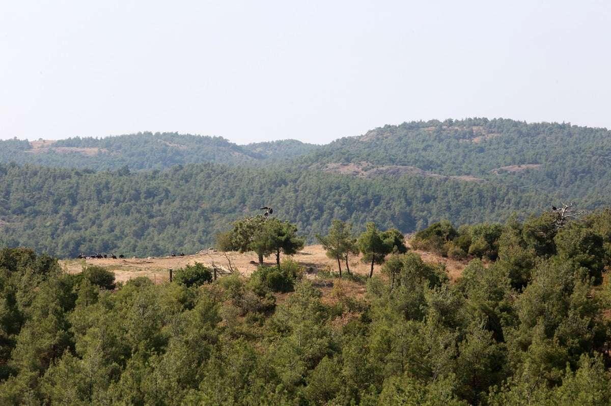 ΕΚΤΑΚΤΟ – Τραυματίστηκε Έλληνας συνοριοφύλακας από τουρκικά πυρά στον Έβρο