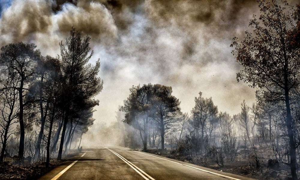 Φωτιά στην Κορινθία: Μάχη με τις αναζωπυρώσεις στο Σοφικό – Πυροσβέστης υπέστη καρδιακό επεισόδιο