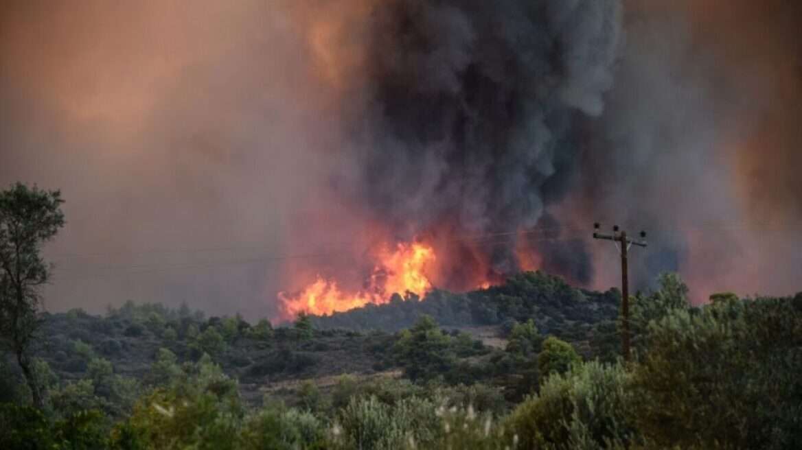 Βοιωτία: Φωτιά σε δασική έκταση στο χωριό Πρόδρομος