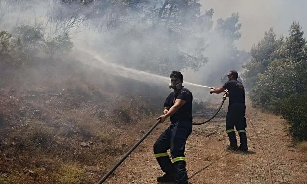 Φωτιά στη Μεταξάδα Μεσσηνίας