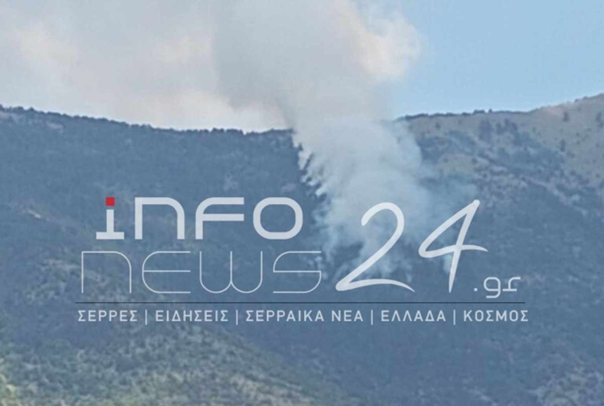 Πυρκαγιά στις Σέρρες: Βελτιωμένη η εικόνα στην Τριανταφυλλιά