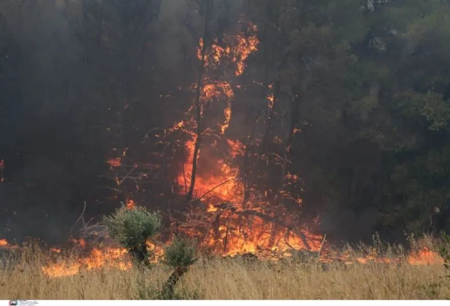 Φωτιά σε εξέλιξη στη Ρόδο