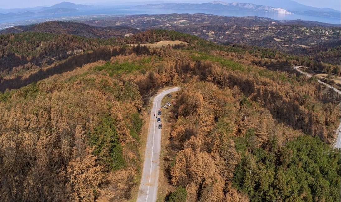 Θέρμη – 3.560 στρέμματα αποκτούν ξανά ζωή