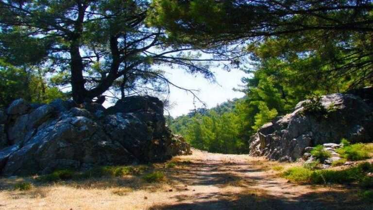 Τραγωδία στη Ρόδο – 66χρονος, που συμπλήρωνε τα τελευταία ένσημα, έχασε τη ζωή του