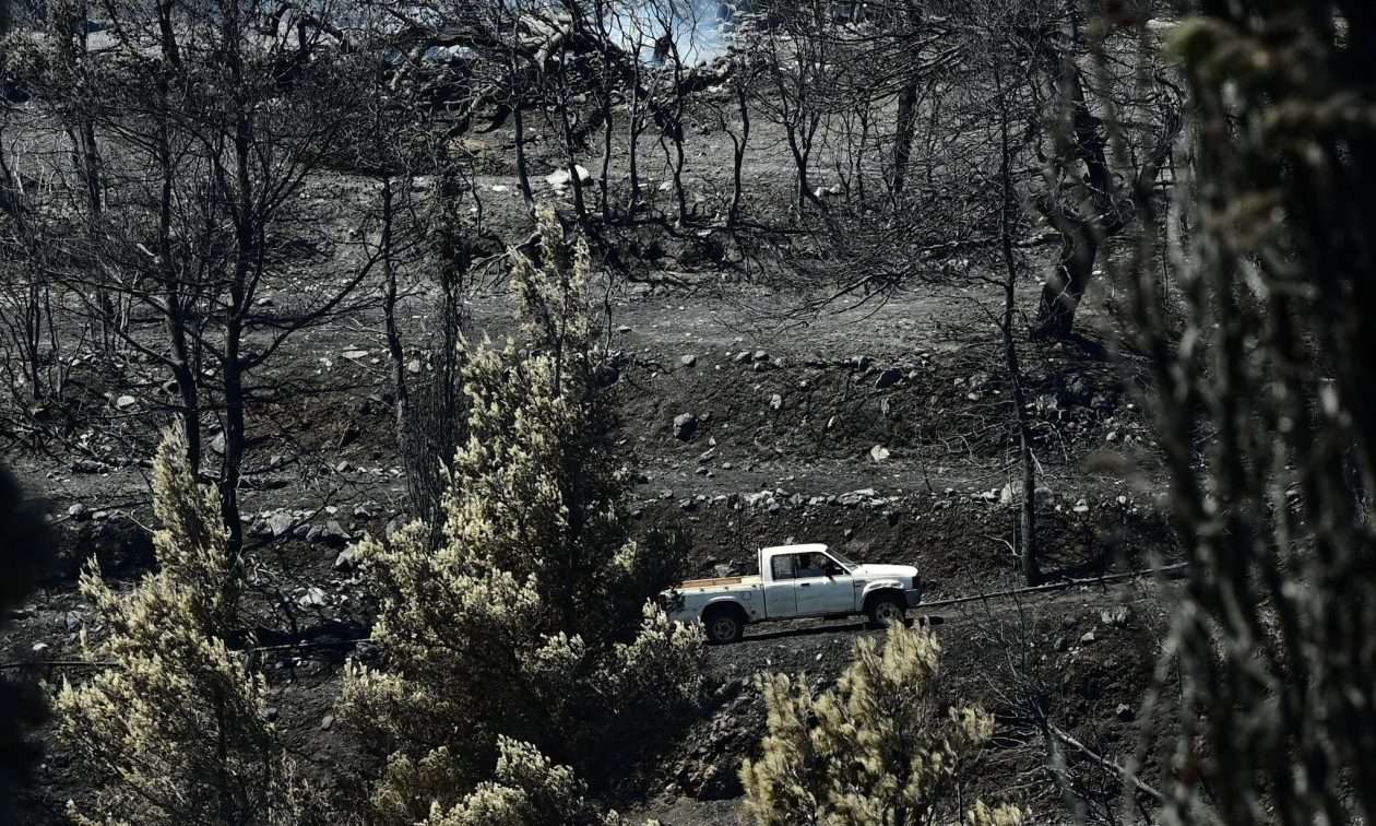«Καμπανάκι» για την Αττική: Ελάχιστες οι δυνατότητες φυσικής αναγέννησης