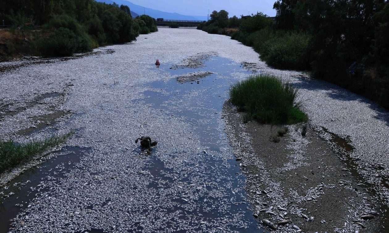 Βόλος: Τι έπρεπε να κάνει η περιφέρεια πριν παροχετεύσει τα μολυσμένα νερά της Κάρλας στον Παγασητικό – Απαντά Ειδικός