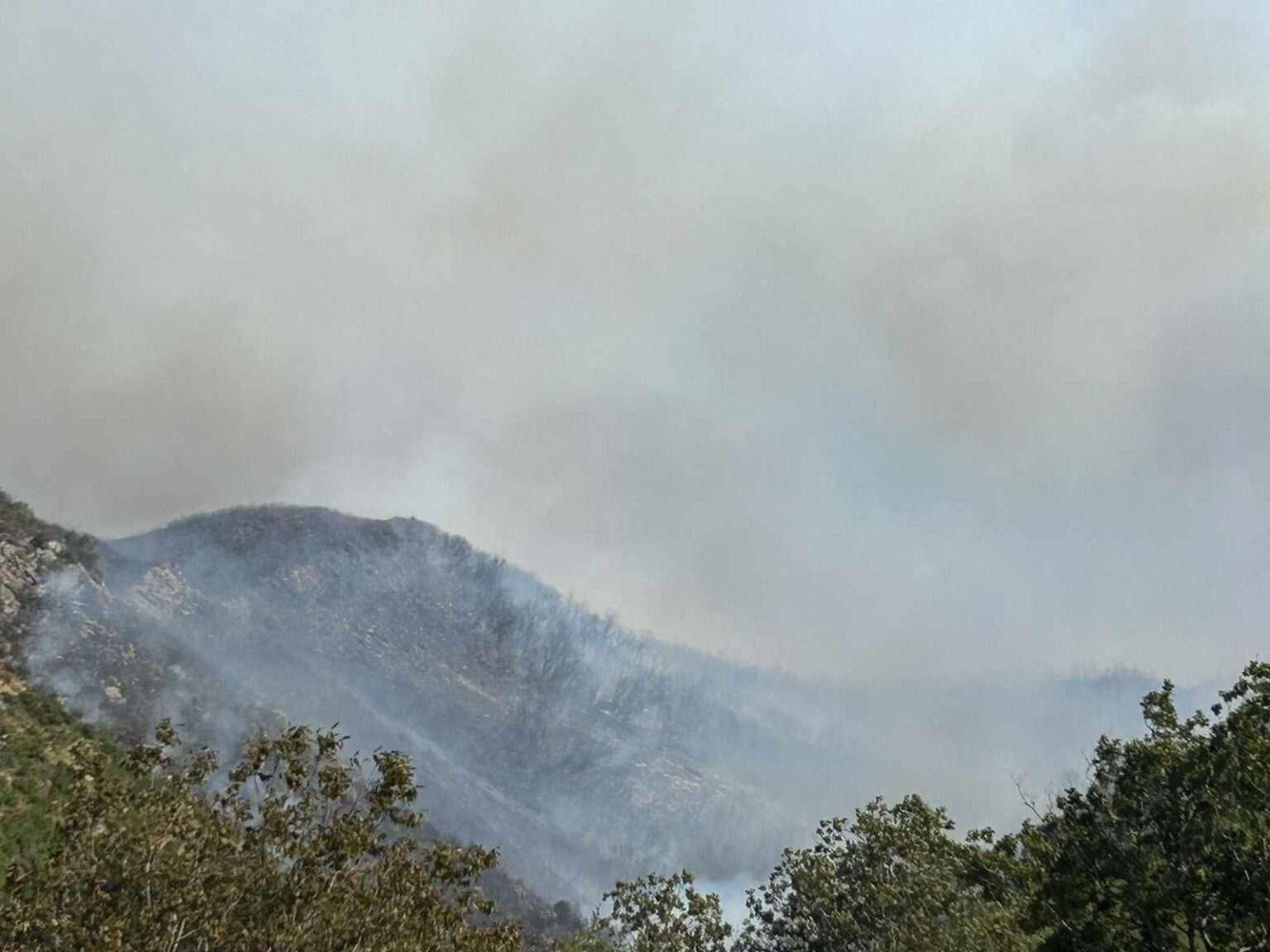 Μεγάλη πυρκαγιά στον Παλαμπά Θεσπρωτίας – Πλησιάζουν το χωριό οι φλόγες