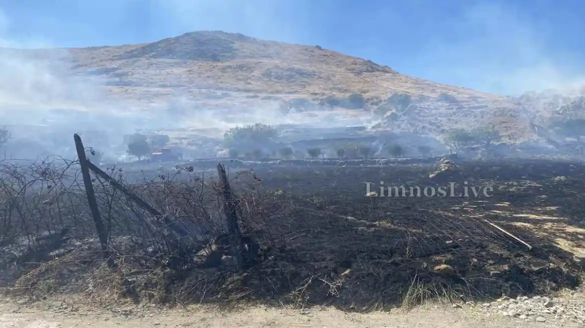 Φωτιά στη Λήμνο – Επιχειρούν 3 αεροσκάφη