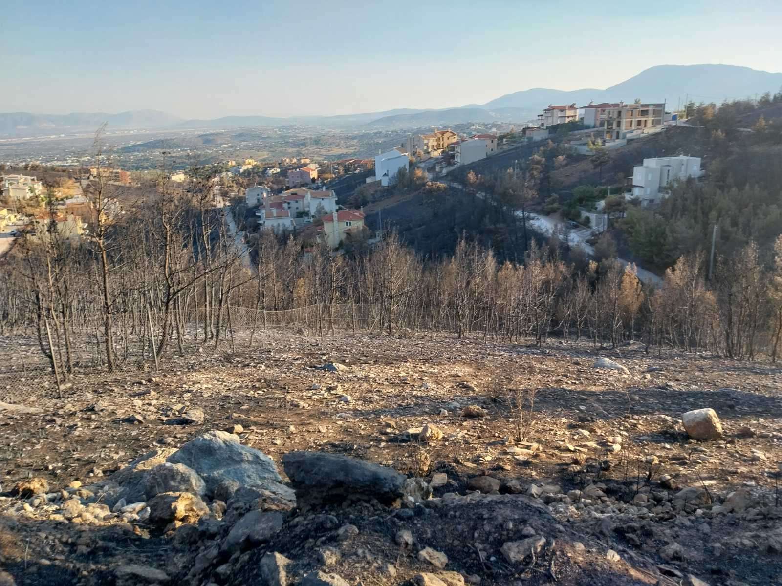 Κόλαφος κατά της κυβέρνησης : “Ή λένε ψέμματα ή βλέπουν τη ναυμαχία του Μίντγουεϊ στον ξύπνιο τους!”