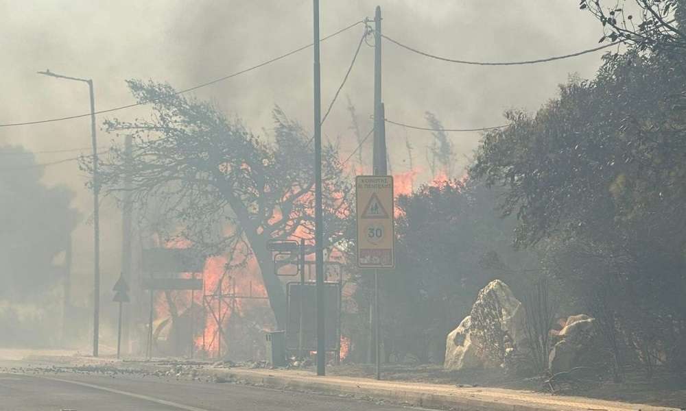 Τα μισά δάση της Αττικής αφανίστηκαν επί Μητσοτάκη – Στοιχεία-σοκ!