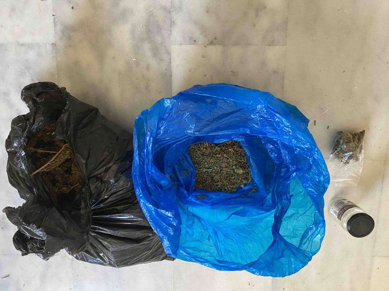Νέα αστυνομική επιχείρηση στα Χανιά: Πάνω από 1.300 δενδρύλλια κάνναβης σε τέσσερις “ορφανές” φυτείες