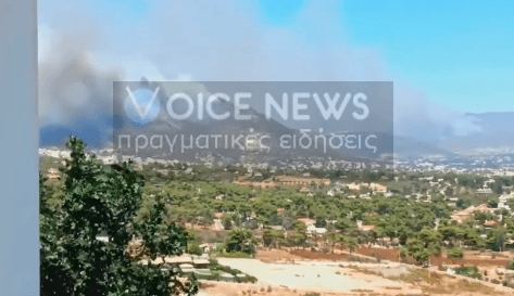 Μαίνεται η φωτιά στην Ανατολή Νέας Μάκρης -Αποκλειστικά βίντεο του VoiceNews