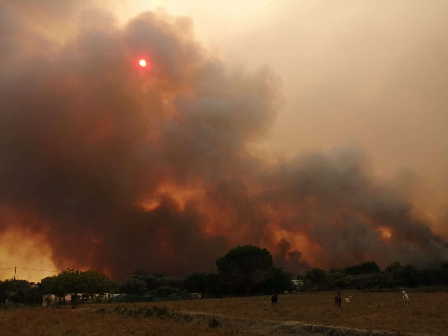 Πολύ υψηλός κίνδυνος πυρκαγιάς αύριο – Δείτε τον χάρτη