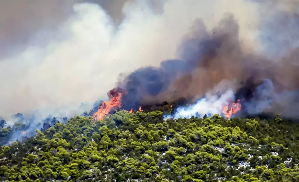 Φωτιά στην Βόρεια Εύβοια – Καίει ξερά χόρτα και καλαμιές