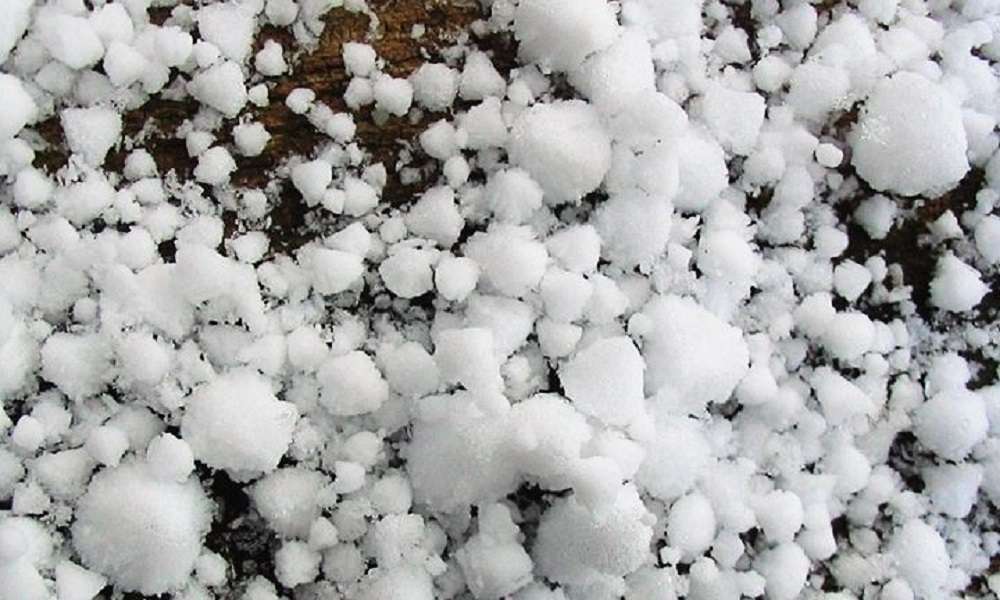 Κρήτη – Σε απόγνωση οι αγρότες λόγω της χαλαζόπτωσης που κατέστρεψε τις ελιές τους