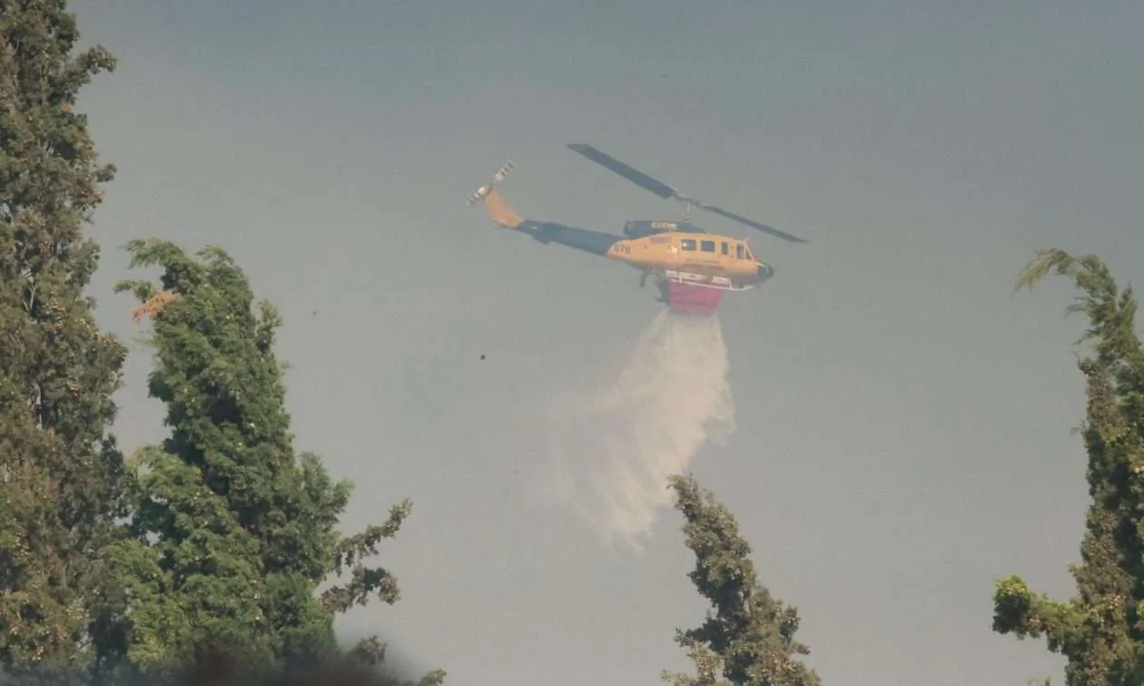 Φλόγες στην Ηλεία – Ισχυρές πυροσβεστικές δυνάμεις στη μάχη για τον έλεγχο
