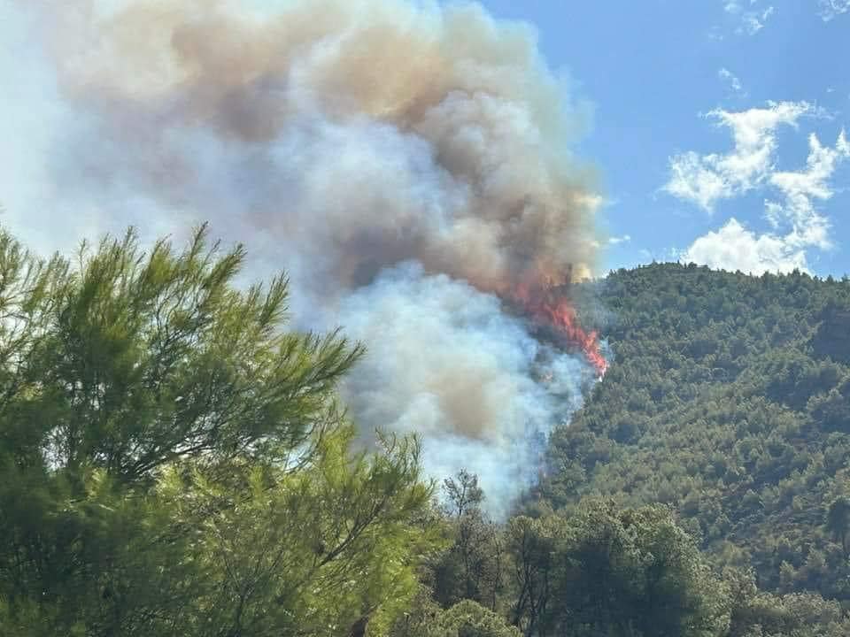 Κρήτη: Φωτιά σε δασική έκταση κοντά σε Μοναστήρι