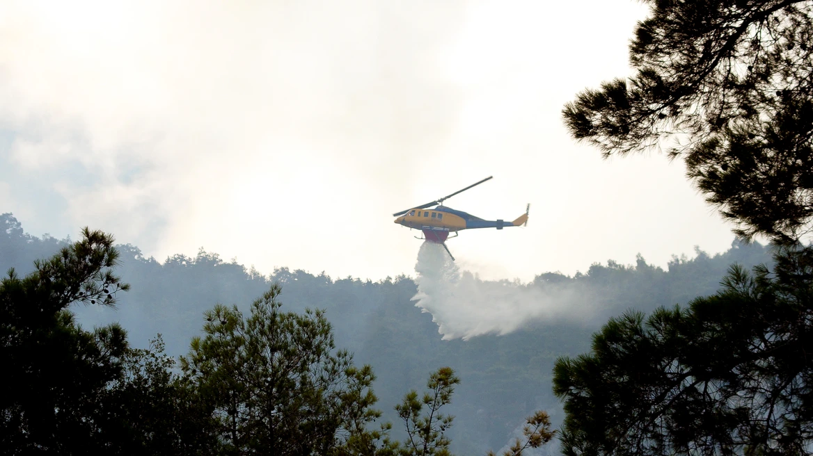 ΕΚΤΑΚΤΟ: Μεγάλη φωτιά στην Κεφαλονιά – Μήνυμα 112 στους κατοίκους – «Να είστε σε ετοιμότητα»