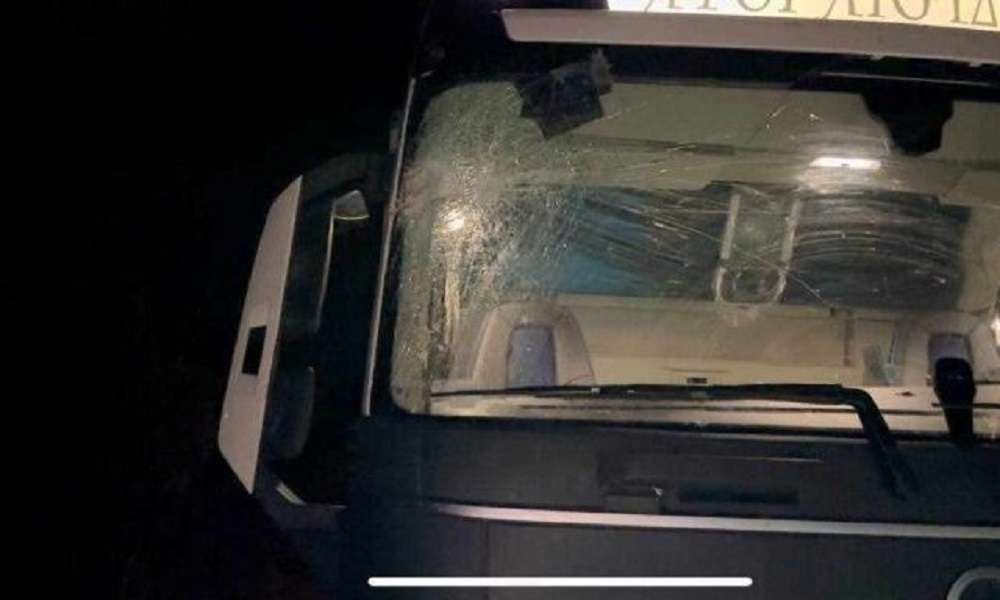 Παλαιά Εθνική Οδός Αντιρρίου – Ιωαννίνων: Δέντρο έπεσε πάνω σε νταλίκα