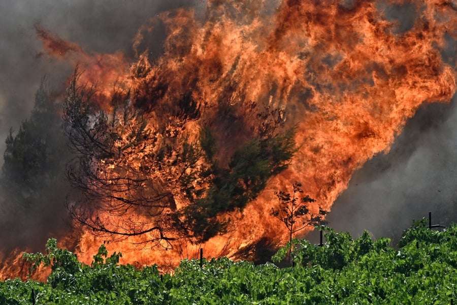 48 ώρες έχει ο αντιδήμαρχος Ξυλοκάστρου – Ευρωστίνης προκειμένου να δώσει εξηγήσεις για τη πυρκαγιά στα Ροζενά Κορινθίας