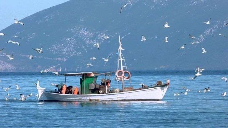Καμία αλιεία στη Γυάρο – Διατηρείται η πλήρης απαγόρευση σε τρία ναυτικά μίλια