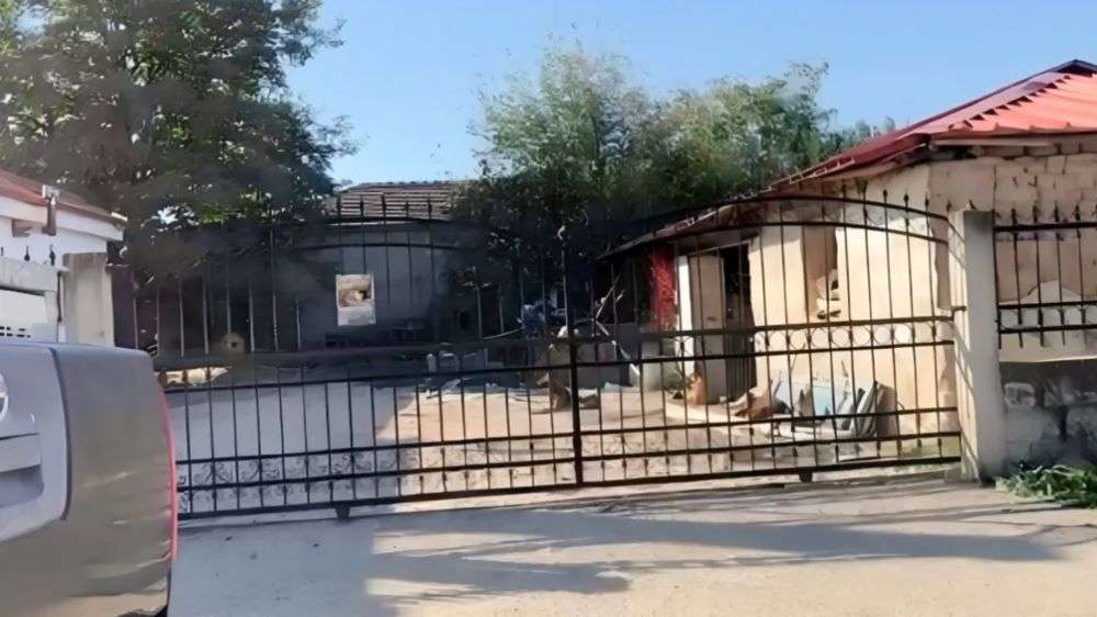 Συνελήφθη ο γιος της 70χρονης που κατασπάραξαν σκυλιά στην αυλή του σπιτιού της