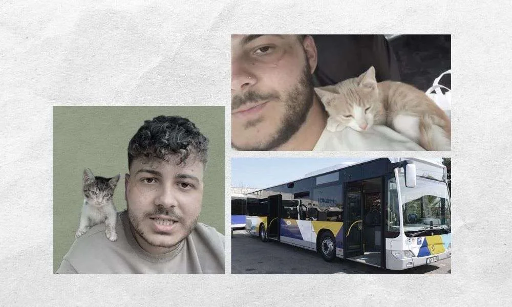 Τον πέταξαν από το λεωφορείο γιατί είχε γατάκι – «Έπαθα κρίση πανικού»