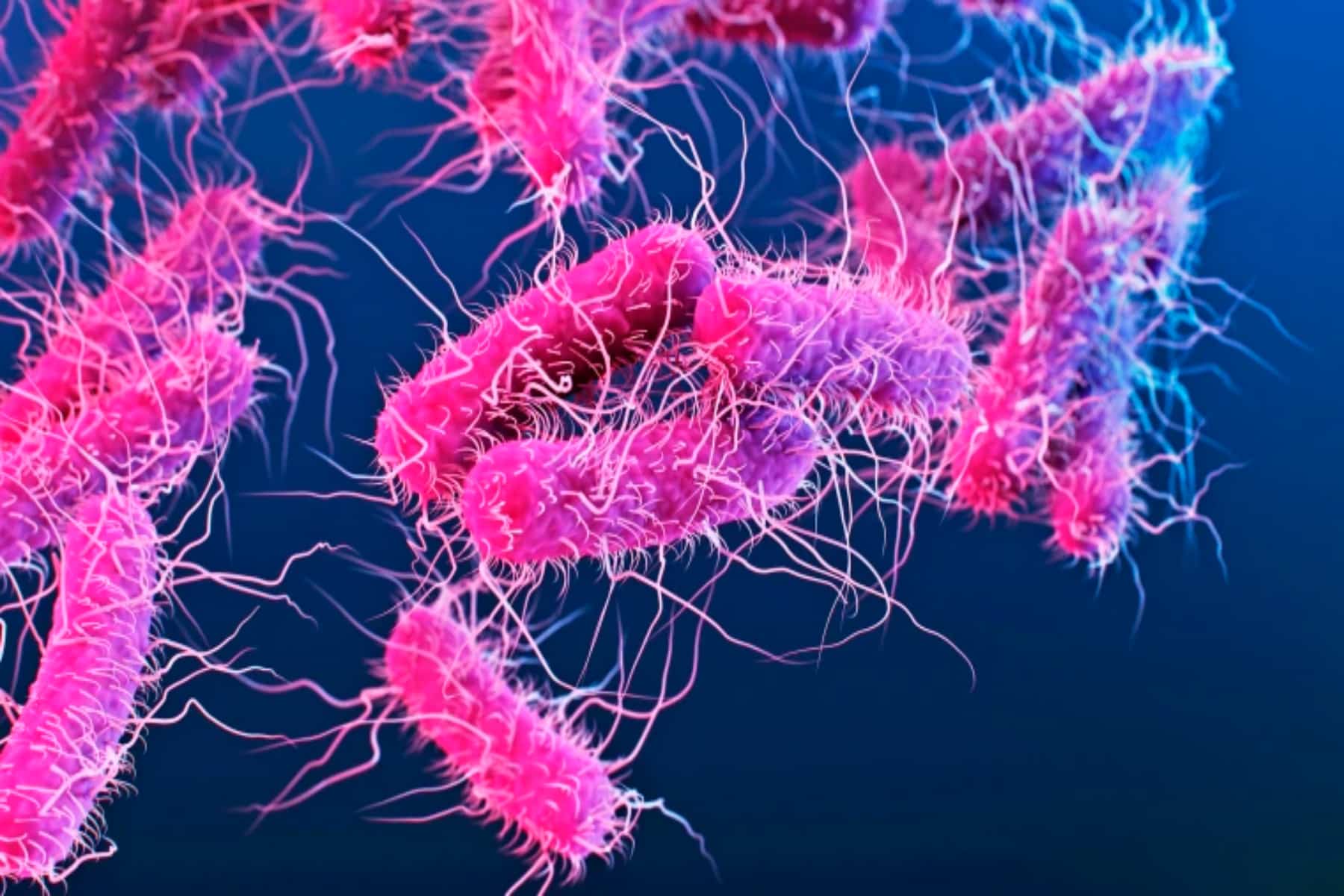 Ερευνητές ανέπτυξαν το πρώτο mRNA εμβόλιο για ένα εξαιρετικά μεταδοτικό βακτήριο