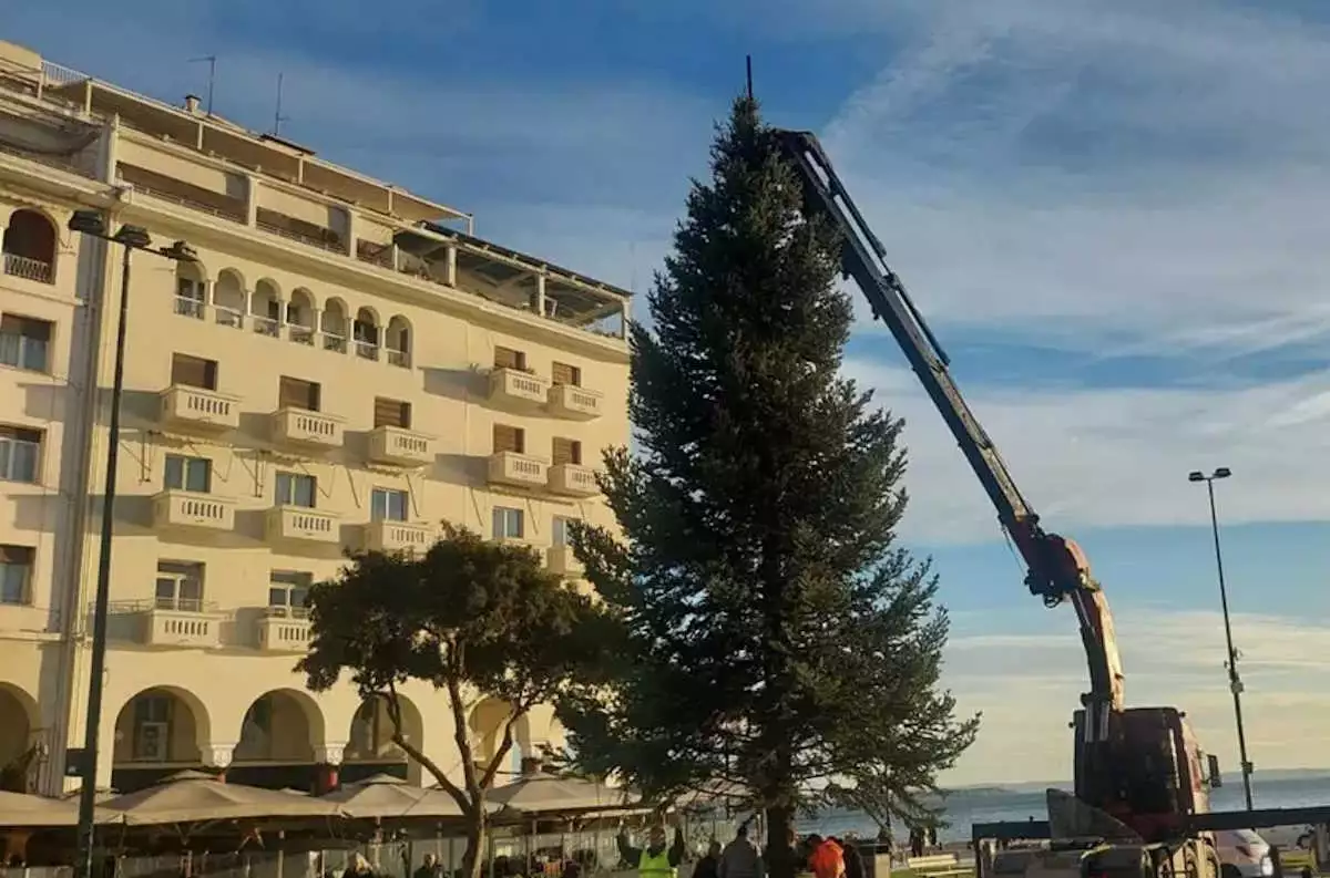Θεσσαλονίκη: Έλατο ύψους 20 μέτρων στήθηκε στην πλατεία Αριστοτέλους – Πότε θα φωταγωγηθεί