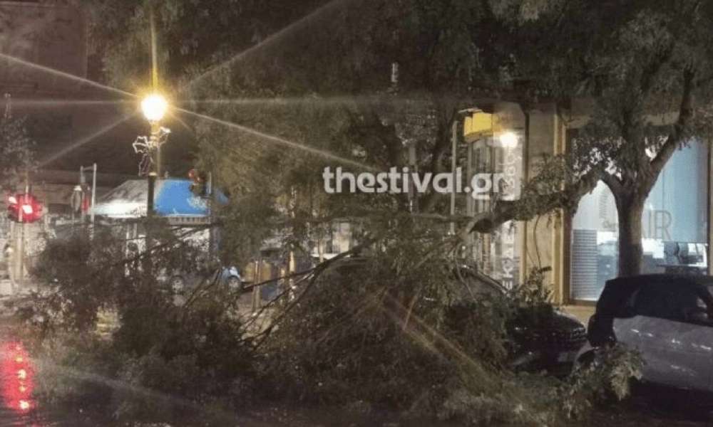 Θεσσαλονίκη – Πτώσεις δέντρων λόγω των ισχυρών ανέμων