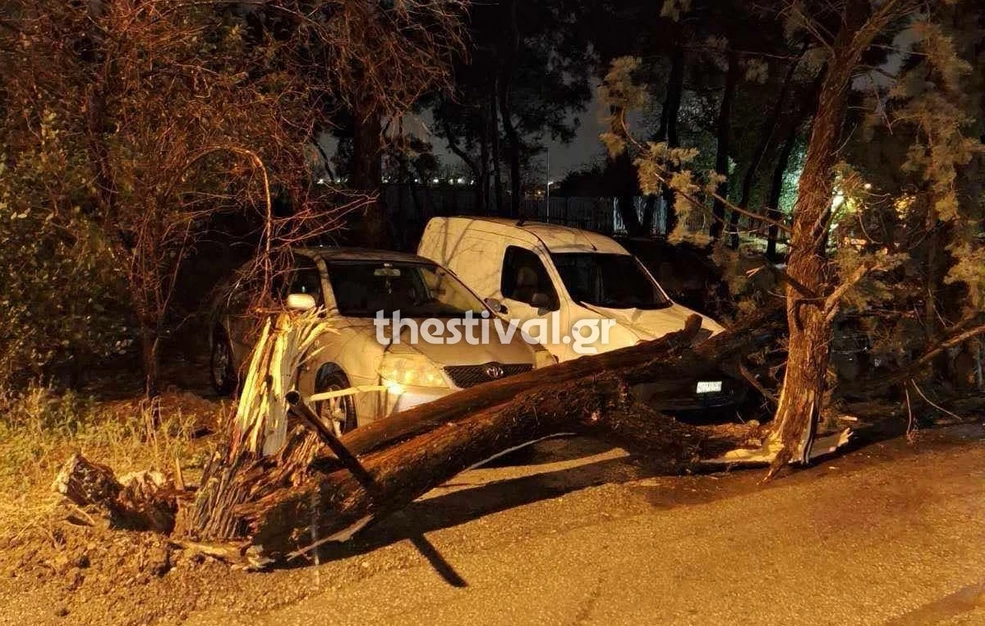 Ισχυροί άνεμοι προκάλεσαν πτώσεις δέντρων στο κέντρο της Θεσσαλονίκης