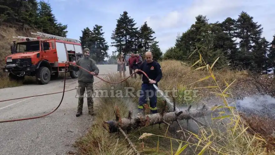 Λαμία: Έκοβαν παράνομα ξύλα και έριξαν έλατο πάνω σε καλώδια υψηλής τάσης, προκαλώντας φωτιά