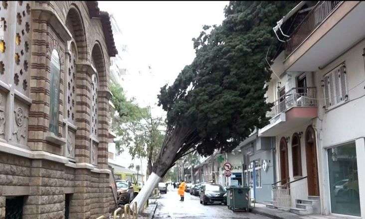 Πεσμένο δέντρο «σκεπάζει» πολυκατοικία για πέντε ολόκληρες μέρες
