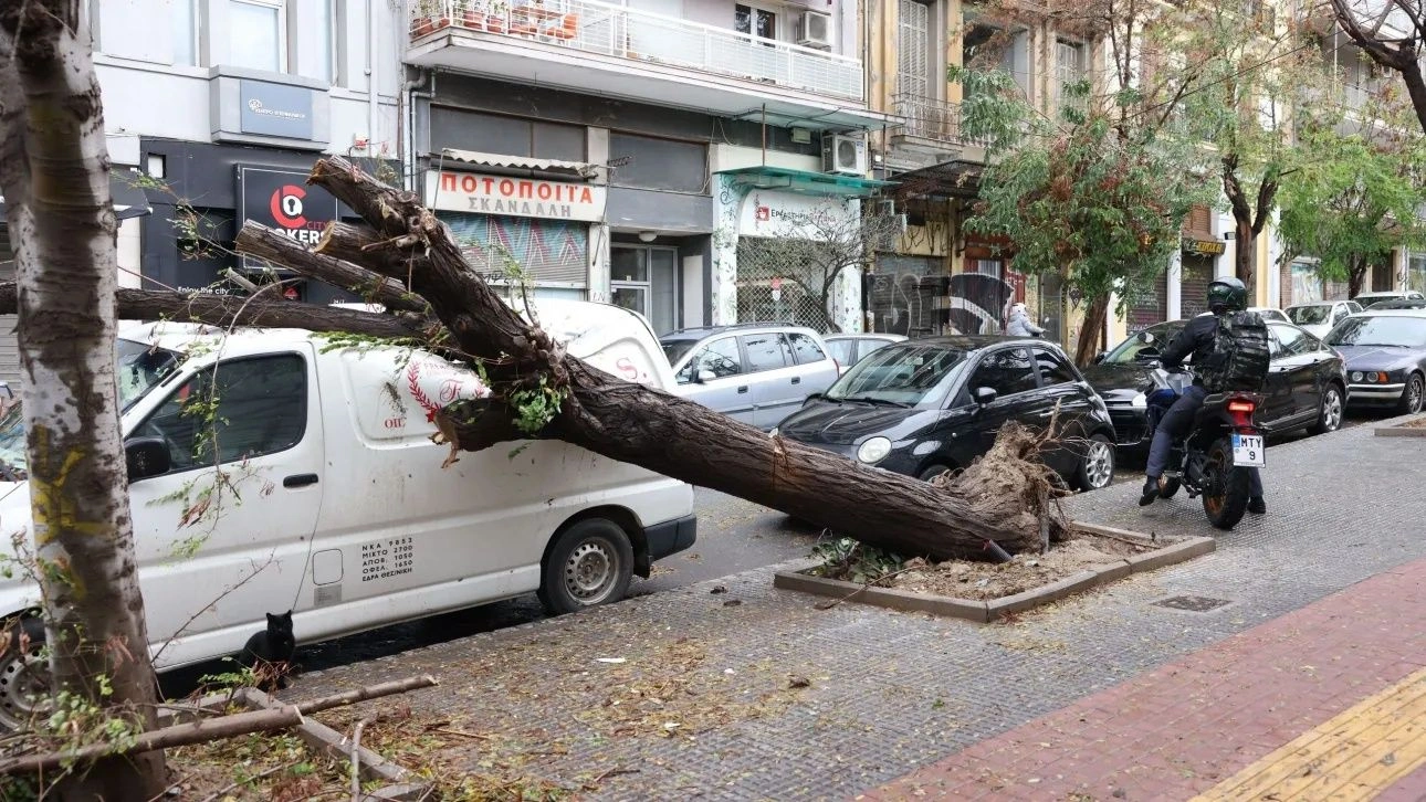 Μετά από πέντε ημέρες απομακρύνθηκε δέντρο που έπεσε σε οικοδομή στη Θεσσαλονίκη