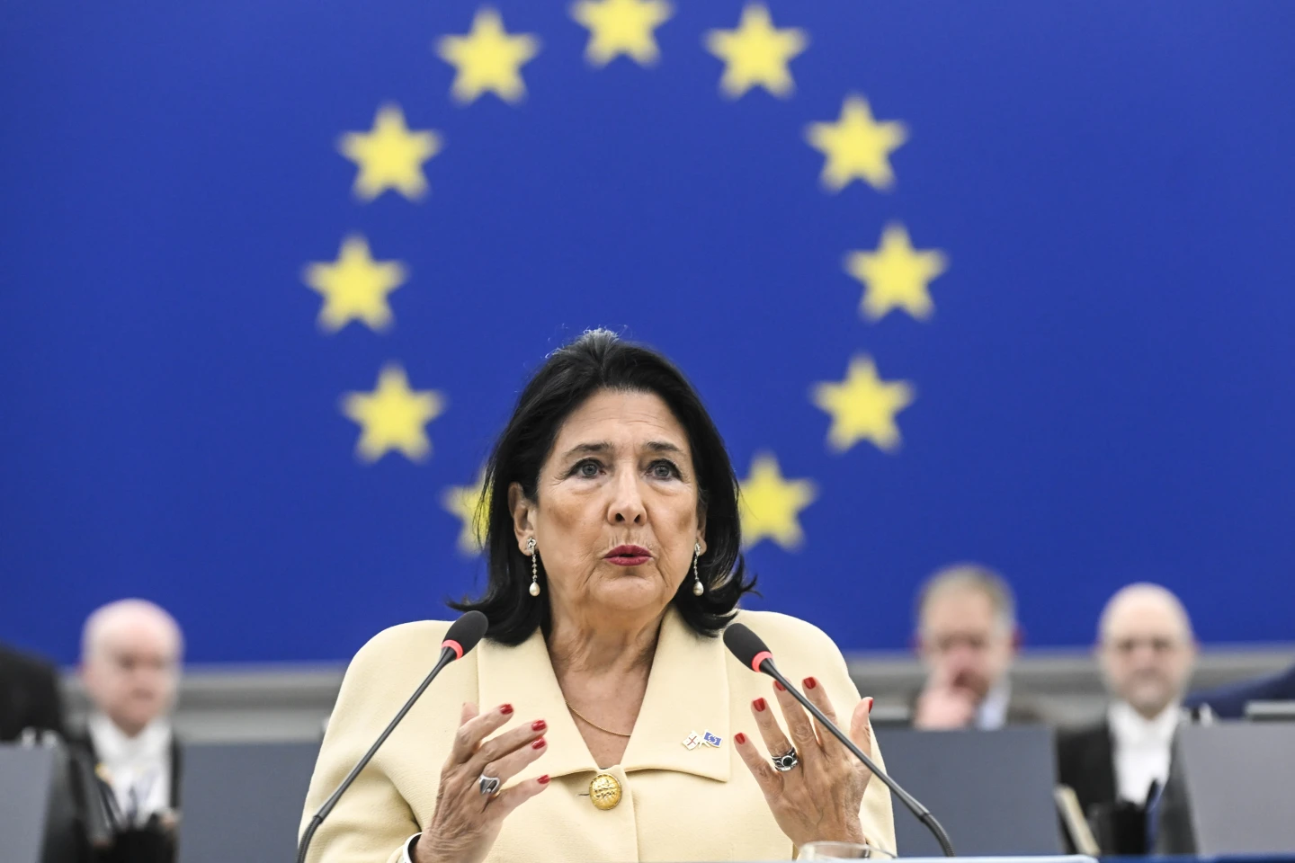 Η απερχόμενη πρόεδρος της Γεωργίας καλεί την ΕΕ να χρησιμοποιήσει μεγαλύτερη επιρροή για να υποστηρίξει τους διαδηλωτές