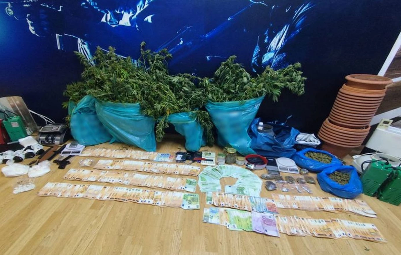 Διαμέρισμα στην Αττική είχε μετατραπεί σε φυτώριο κάνναβης – Όσα βρέθηκαν