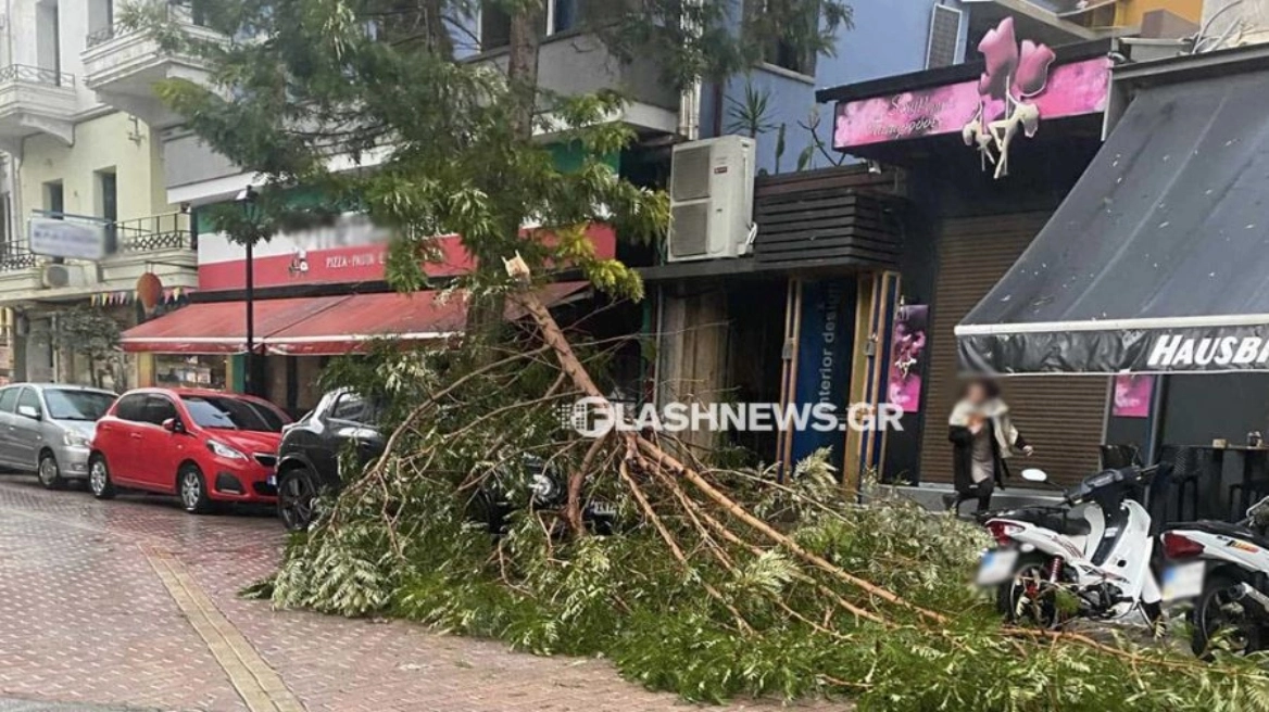Χανιά: Ισχυρή βροχόπτωση – Σπασμένα κλαδιά στους δρόμους, αποκολλήθηκε λαμαρίνα στο κέντρο της πόλης