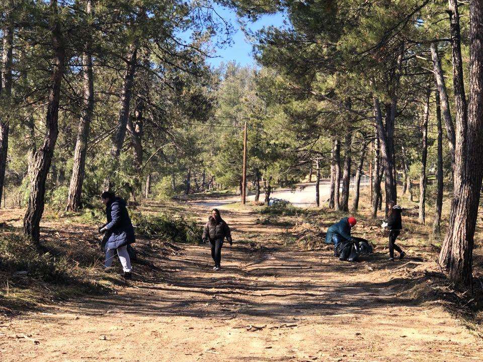 Καβάλα: Μαθητές και εκπαιδευτικοί ανέλαβαν τον καθαρισμό δάσους γύρω από το σχολείο τους