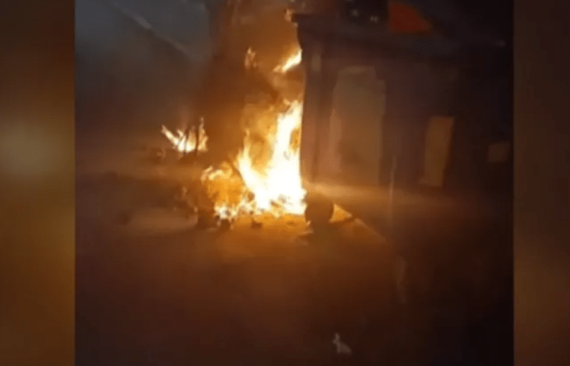 Κτηνωδία στην Eύβοια: Έκαψαν 4 σκυλάκια μέσα σε κάδους σκουπιδιών