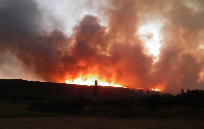 Πυρκαγιά στην Νάξο – Άμεση επέμβαση της Πυροσβεστικής