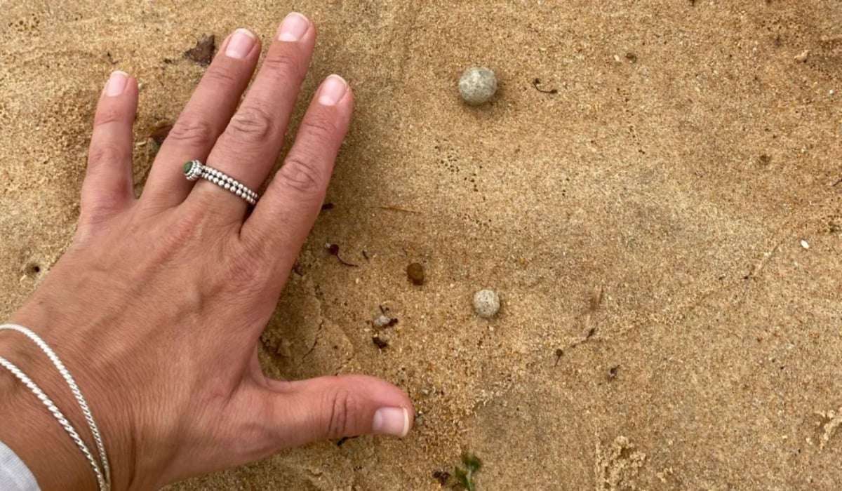 Μυστηριώδη σφαιρίδια ξεβράστηκαν στην Αυστραλία – Έκλεισαν εννέα παραλίες