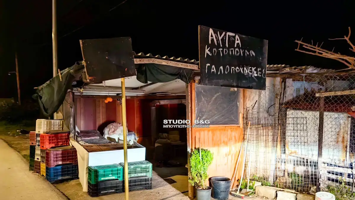 Ναύπλιο: Με μια μαχαιριά στο στήθος σκότωσε τον ληστή η 72χρονη