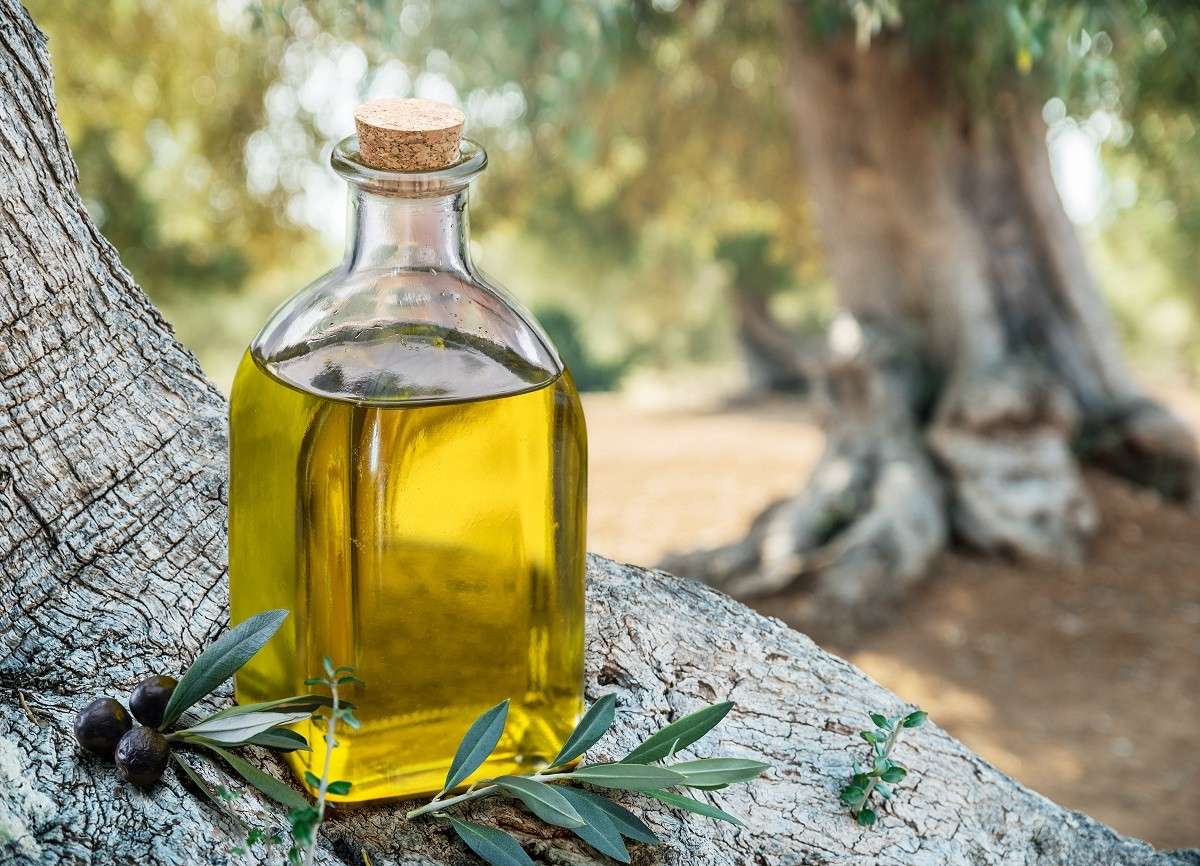 Eλαιόλαδο: Τα πανίσχυρα οφέλη του για τον εγκέφαλο – Από ποιες παθήσεις προστατεύει