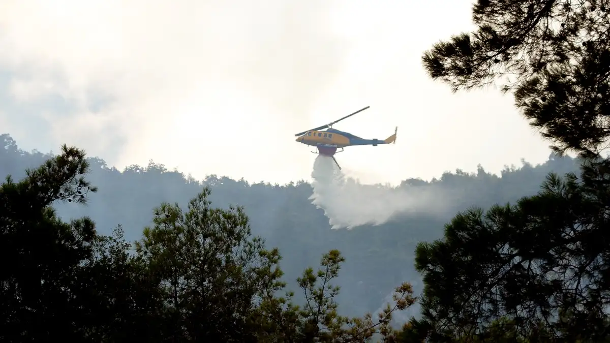 Κόκκινος συναγερμός στην Κάρυστο: Πύρινη λαίλαπα απειλεί τα Καλλιανά – SOS από το 112, «Μείνετε σε ετοιμότητα»
