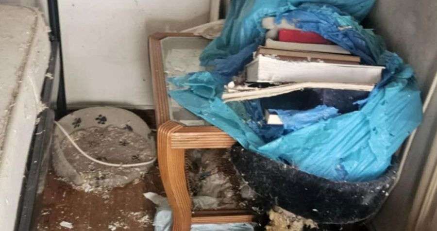 Εξάρχεια: 66χρονη ζούσε με τη νεκρή μητέρα της και δεκάδες γάτες – Το Υγειονομικό πέρασε και δεν είδε τίποτα