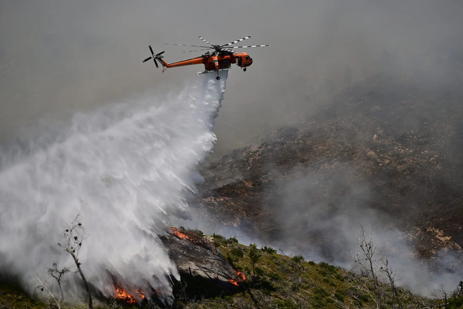 Συναγερμός στη Ζάκυνθο: Φωτιά σε δασική έκταση, μάχη με τις φλόγες από πυροσβέστες και ελικόπτερα