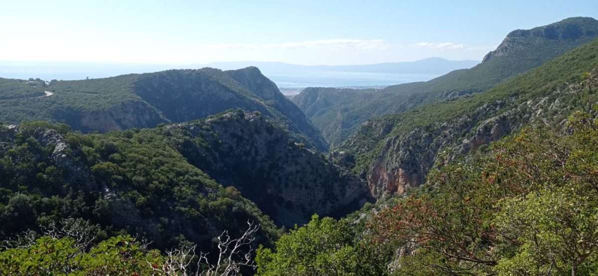 Καλαμάτα: 13 οικισμοί θωρακίζονται με αντιπυρικές ζώνες